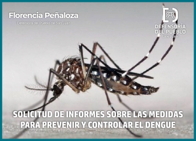 La Defensoría del Pueblo solicita informes a las autoridades sobre las medidas para prevenir y controlar el dengue en San Juan