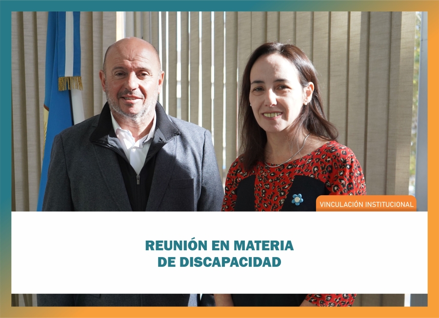 Reunión en materia de discapacidad