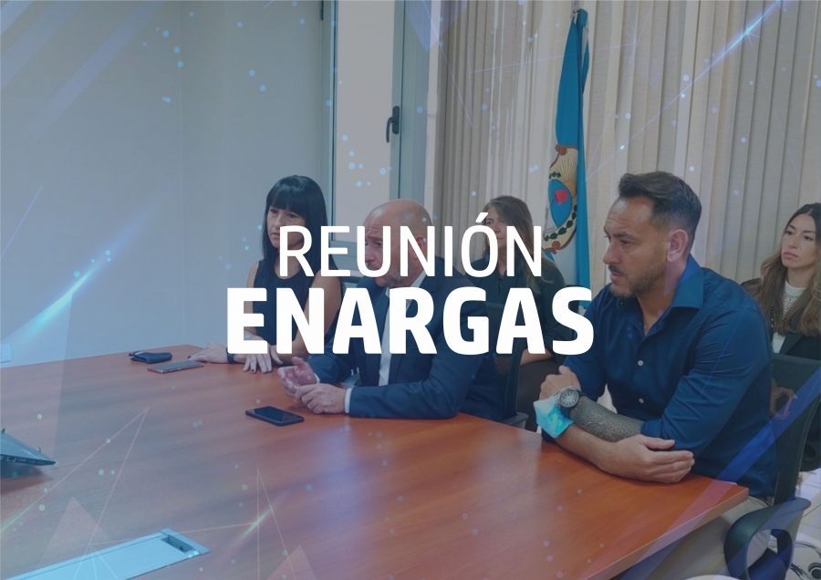 Reunión virtual con representantes de Enargas